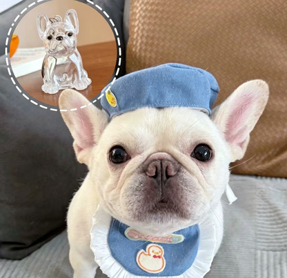 🔥Special Pricing For a Limited Time🐈🐕Best Deals Of The Week
