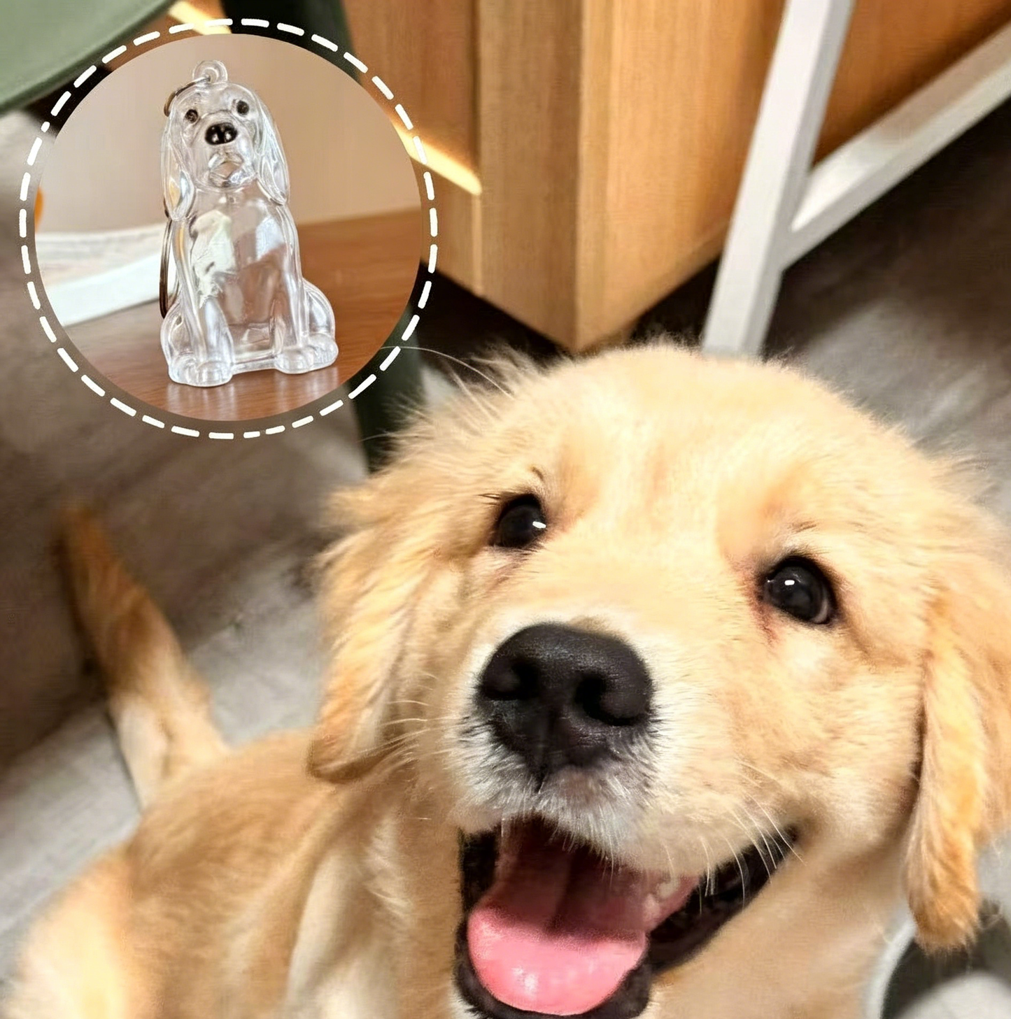 🔥Special Pricing For a Limited Time🐈🐕Best Deals Of The Week