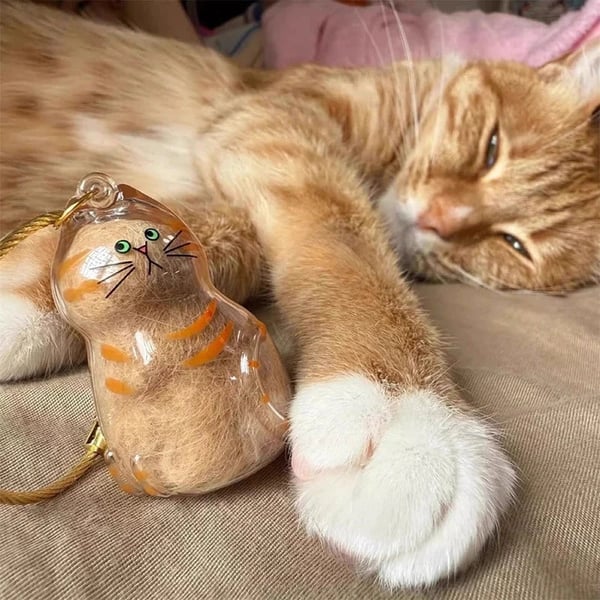 🔥Special Pricing For a Limited Time🐈🐕Best Deals Of The Week