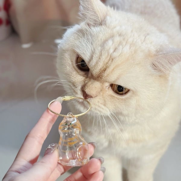 🔥Special Pricing For a Limited Time🐈🐕Best Deals Of The Week