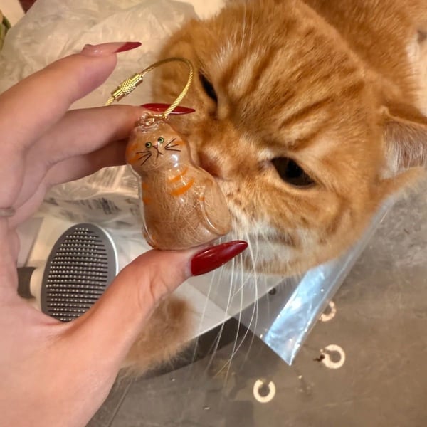 🔥Special Pricing For a Limited Time🐈🐕Best Deals Of The Week