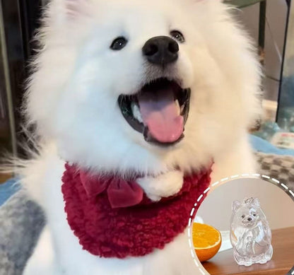 🔥Special Pricing For a Limited Time🐈🐕Best Deals Of The Week