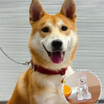 🔥Special Pricing For a Limited Time🐈🐕Best Deals Of The Week