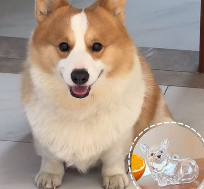 🔥Special Pricing For a Limited Time🐈🐕Best Deals Of The Week