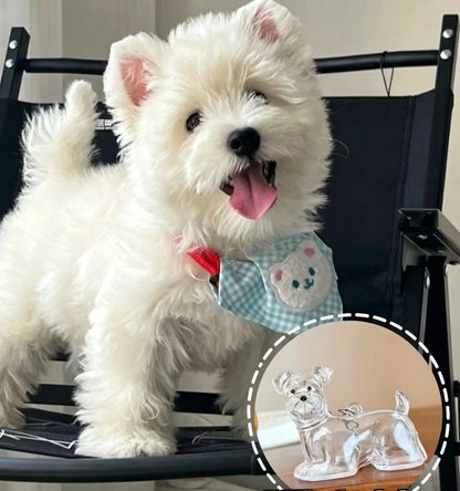 🔥Special Pricing For a Limited Time🐈🐕Best Deals Of The Week